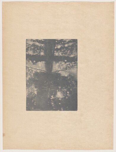 Paysage (Landscape)