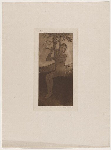 Le chant de la cigale