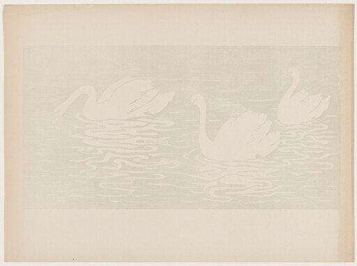 Les cygnes