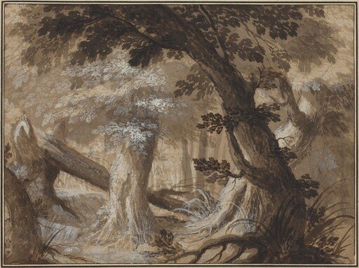 Forest Interior
