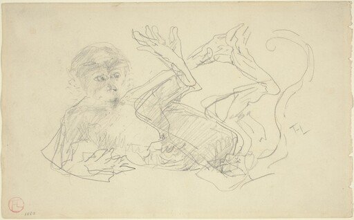 A Monkey Playing on His Back