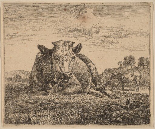 Recumbent Cow