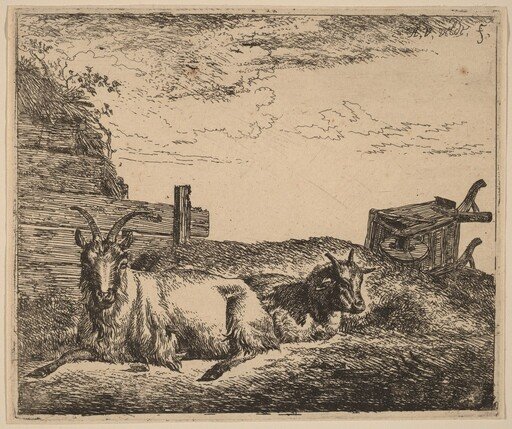 Recumbent Goats