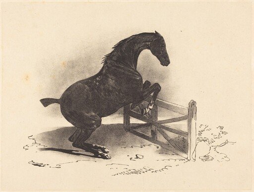 Horse Jumping a Barrier