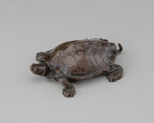 Tortoise