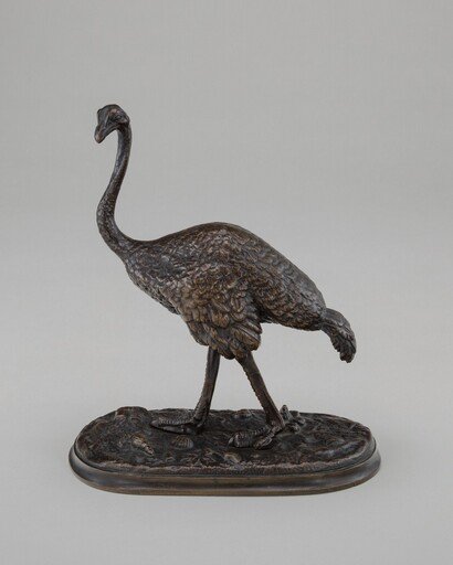 Walking Ostrich