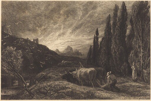 The Early Ploughman