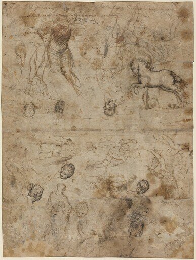 Sheet of Studies