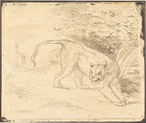 Tigre en arrêt