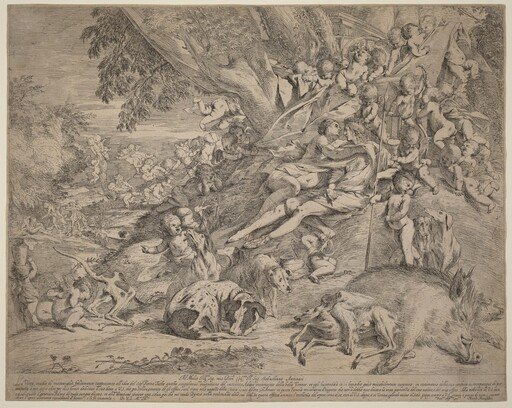 Venus and Adonis
