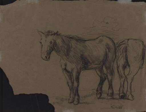 Horses