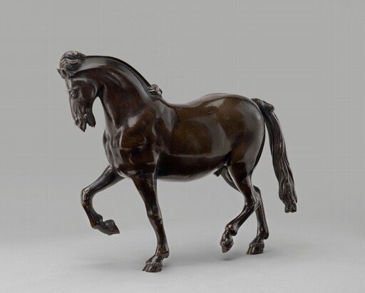 Pacing Stallion
