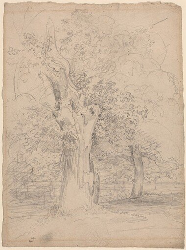 An Ancient Tree with Figures in a Landscape