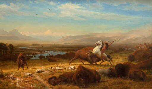 The Last of the Buffalo