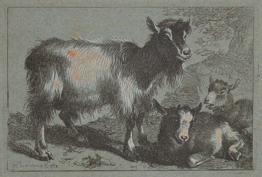 Goat and Two Kids