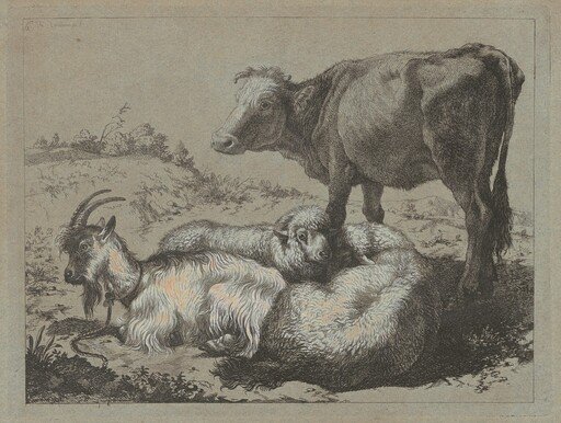 Standing Ox, Two Sheep, and a Goat