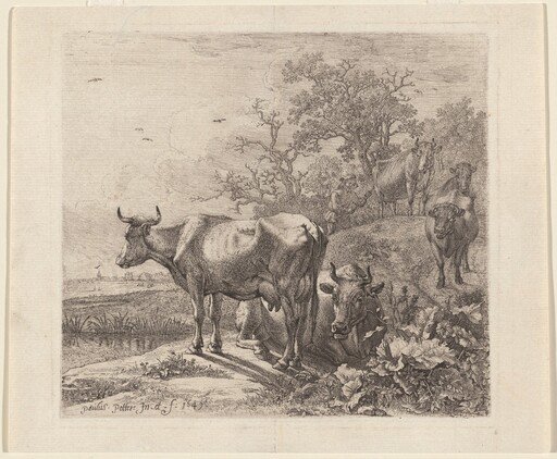 The Cowherd