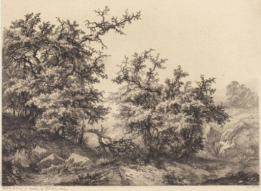 Thornbushes