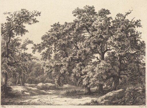 Oaks