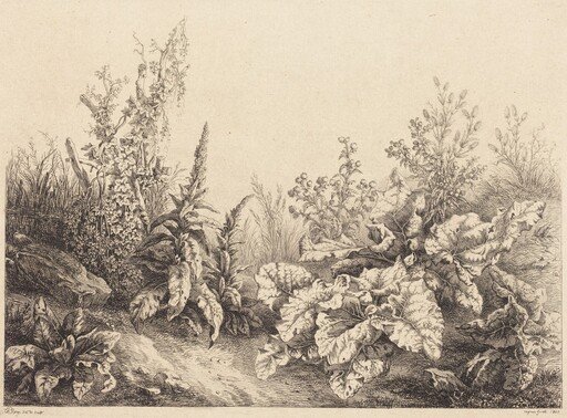Study of a Burdock