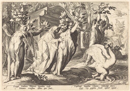 Phaeton's Sisters Changed into Poplars, Cygnus into a Swan