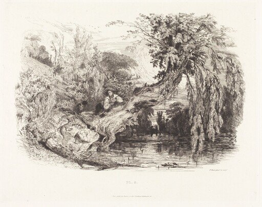 The Poacher