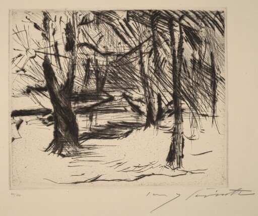 Bäume mit Sonne (Trees in the Sun)