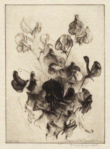 Sweet Peas