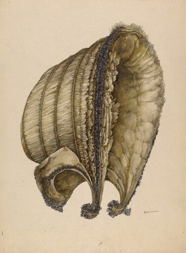 Silk Bonnet