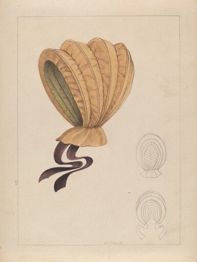 Bonnet