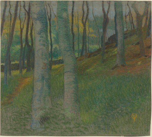 Wooded Landscape