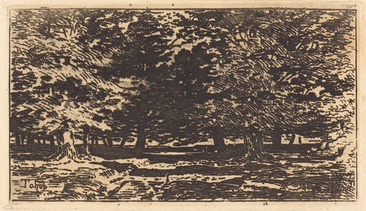 Forêt
