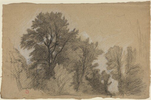 Edge of a Wood