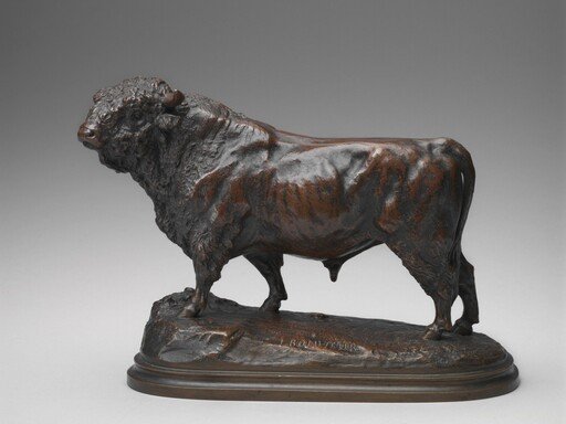 Standing Angus Bull