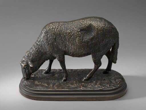 Ewe, or A Grazing Sheep