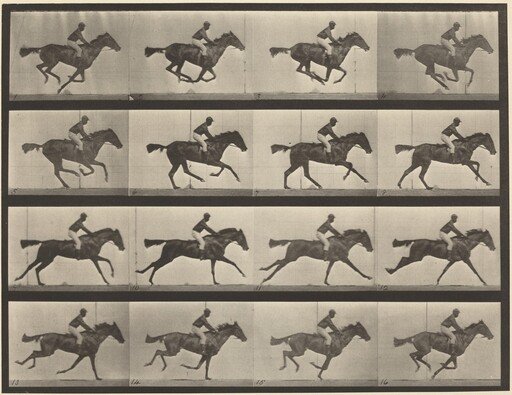 Plate Number 626. Gallop, thoroughbred bay mare, Annie G.