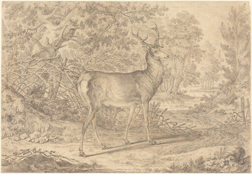 A Splendid Young Stag before a Wattle Fence