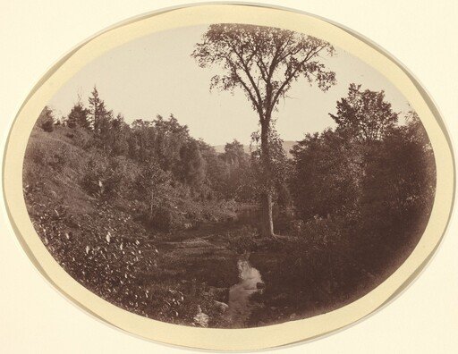 Landscape near Williams College