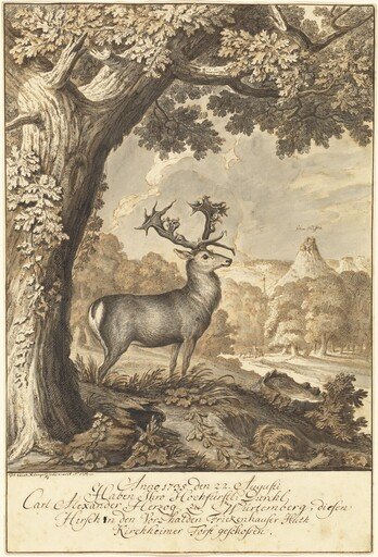 A Stag beneath a Mighty Oak