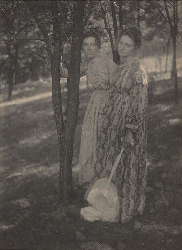 In the Woods