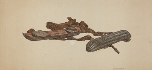 Snow Skates