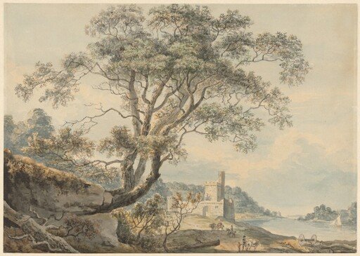 A Castle on the Dart
