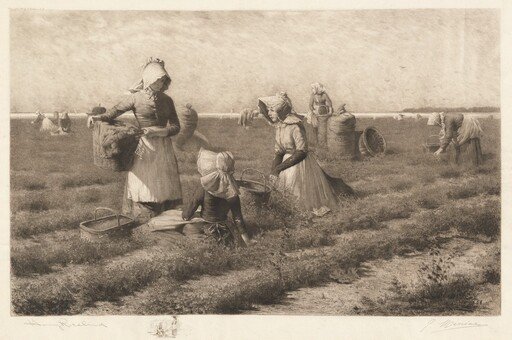 Cranberry Pickers