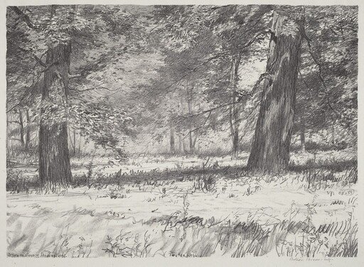 Two Maples