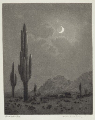 New Moon and Evening Star