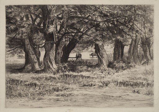 A Group of Willows