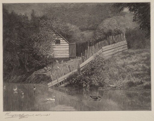 A Duck Pond