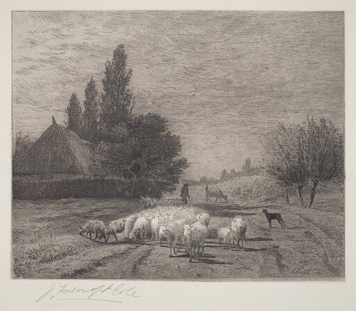 Village Street in France With a Flock of Sheep