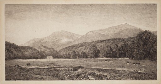 White Mountains