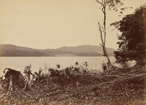 Darien Harbor, Chipigana